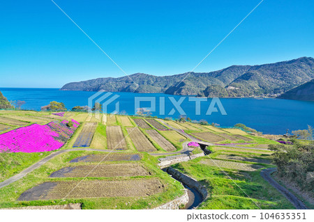 [Tagarasu Rice Terraces] Tagarasu, Obama City, Fukui Prefecture 104635351