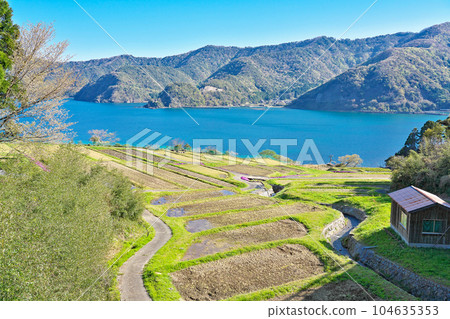 [田良洲梯田] 福井縣小浜市田良洲 104635353