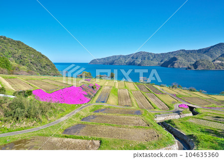 [Tagarasu Rice Terraces] Tagarasu, Obama City, Fukui Prefecture 104635360