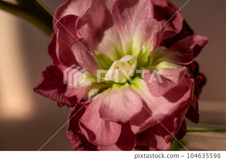 Beautiful abstract background with flowers and vases. Beautiful abstract background with flowers and vases. 104635598