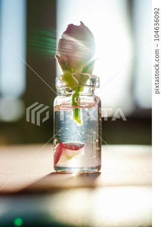 A bottle of cosmetic gel with rose flower. 104636092