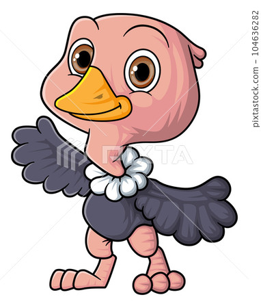 Cartoon funny little ostrich posing of illustration Cartoon funny little ostrich posing of illustration 104636282