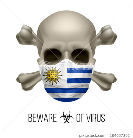 Human Skull 104637201