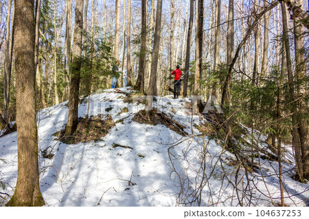Ancient Baltic and Slavic mounds in the winter forest Ancient Baltic and Slavic mounds in the winter forest 104637253