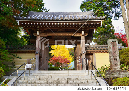鎌倉淨明寺，秋葉美麗 104637354