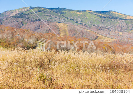 Yuzawa Town, Niigata, Tashiro Plateau with autumn leaves Yuzawa Town, Niigata, Tashiro Plateau with autumn leaves 104638104