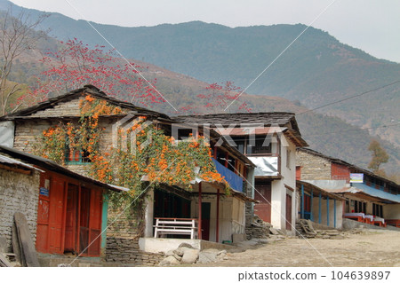 喜馬拉雅山、尼泊爾、南亞安納普爾納徒步路線沿線的村莊景觀 喜馬拉雅山、尼泊爾、南亞安納普爾納徒步路線沿線的村莊景觀 104639897