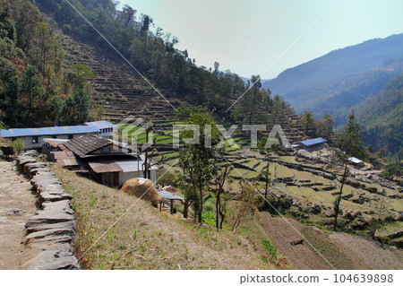 喜馬拉雅山、尼泊爾、南亞安納普爾納徒步路線沿線的梯田景觀 喜馬拉雅山、尼泊爾、南亞安納普爾納徒步路線沿線的梯田景觀 104639898