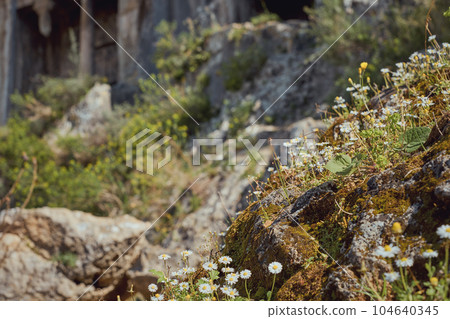 Fethiye, Turkey - March 206 2023 Fethiye, Turkey - March 206 2023 104640345