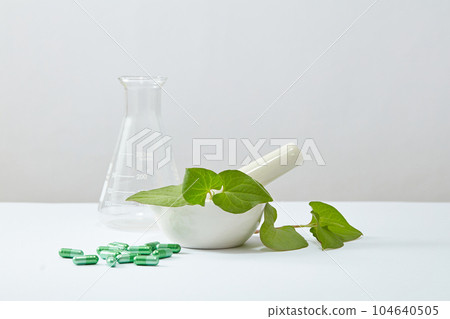 A white mortar containing pestle and few fresh fish mint leaves. Several green capsules are featured. Fish mint (Houttuynia cordata) contains up to 80% water content. 104640505