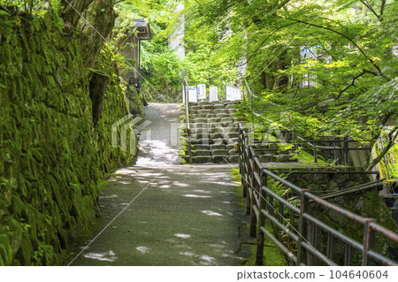 Ohara, Kyoto Sanzen-in Temple "Hibiki no Michi" along the Rogawa River Ohara Onna no Komichi Ohara, Kyoto Sanzen-in Temple "Hibiki no Michi" along the Rogawa River Ohara Onna no Komichi 104640604