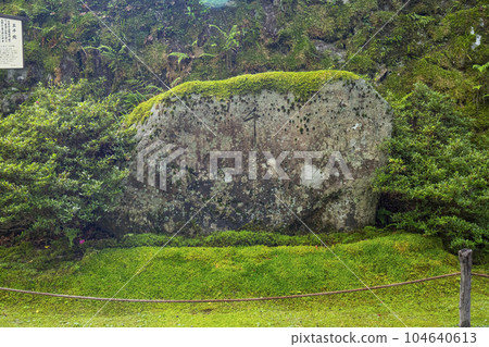 Kyoto Ohara Sanzen-in "Sakura no Baba" in the fresh green season 104640613