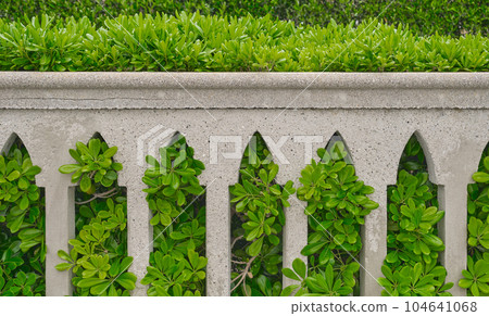 Gothic style fence overgrown with evergreen bushes. idea for a background or screen, travel time and holidays in popular places of the Dodecanese archipelago Greece. 104641068