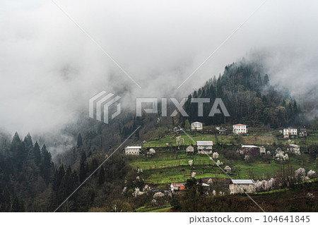 Little village in the Adjarian mountain region 104641845