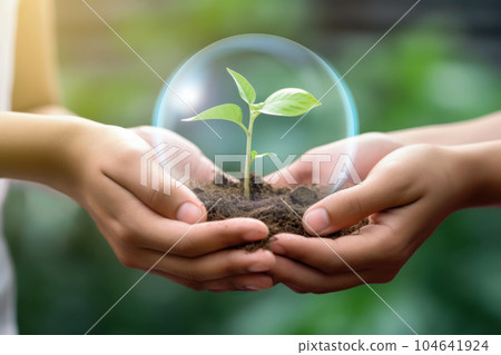 two hands holding a small plant 104641924