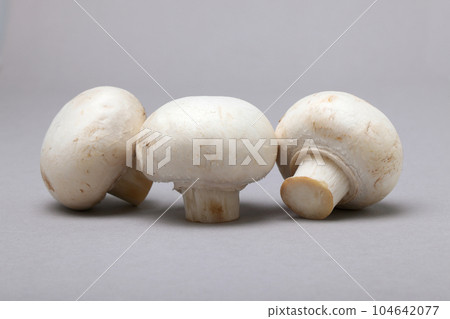 White mushroom White mushroom 104642077