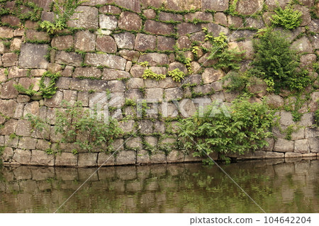 The stone walls of Okazaki Castle in Mikawa Province, the birthplace of Ieyasu Tokugawa 104642204