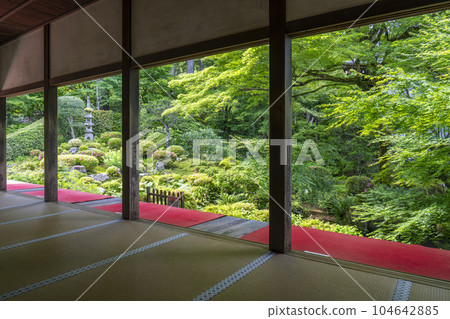 Kyoto Ohara Sanzen-in The fresh green Shuheki-en picture frame garden seen from the reception hall Kyoto Ohara Sanzen-in The fresh green Shuheki-en picture frame garden seen from the reception hall 104642885