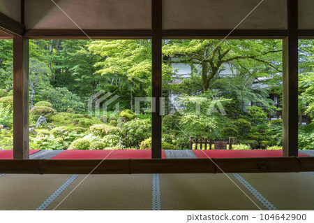 京都大原三千院 從接待大廳看到的清新綠色的秀碧園畫框花園 京都大原三千院 從接待大廳看到的清新綠色的秀碧園畫框花園 104642900