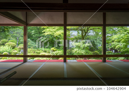京都大原三千院 從接待大廳看到的清新綠色的秀碧園畫框花園 104642904