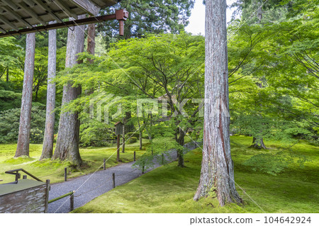 京都大原三千院美麗的苔蘚花園和大城極樂院 104642924