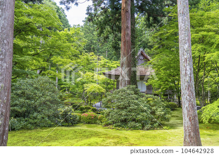 京都大原三千院美麗的苔蘚花園和大城極樂院 104642928