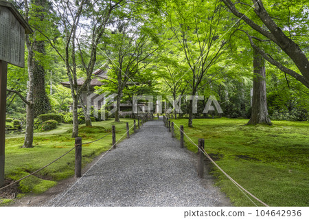 Kyoto Ohara Sanzen-in Beautiful Moss Garden and Ojo Gokuraku-in 104642936
