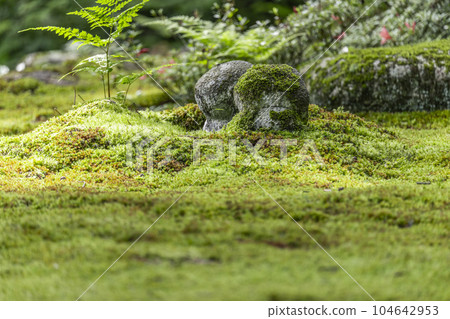京都大原三千院遊成園,有美麗的青苔和蕨地藏 京都大原三千院遊成園,有美麗的青苔和蕨地藏 104642953