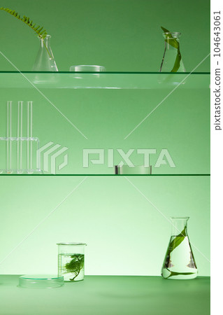 Glass shelves put experimental equipment and natural leaves for research. Fern leaves, seaweed and spirulina. Blank space on transparent podium for product presentation Glass shelves put experimental equipment and natural leaves for research. Fern leaves, seaweed and spirulina. Blank space on transparent podium for product presentation 104643061