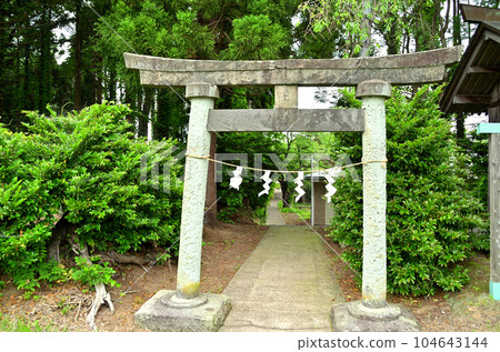 供奉於新潟縣上越市戈地的越後國一宮伊田神社 104643144