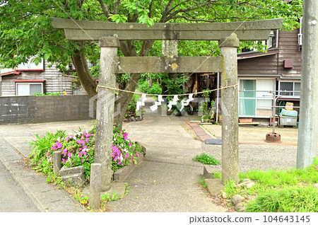 供奉於新潟縣上越市戈地的越後國一宮伊田神社 供奉於新潟縣上越市戈地的越後國一宮伊田神社 104643145