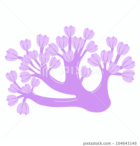 Vector hand drawn coral.  104643148