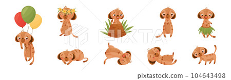 Cute Meerkat or Suricate with Brindled Coat Vector Set Cute Meerkat or Suricate with Brindled Coat Vector Set 104643498