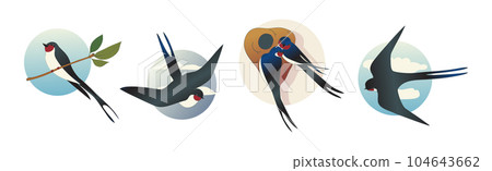 Swallow or Martin as Passerine Bird with Long Pointed Wings Vector Set Swallow or Martin as Passerine Bird with Long Pointed Wings Vector Set 104643662