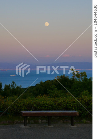 Sea-viewable bench 104644630