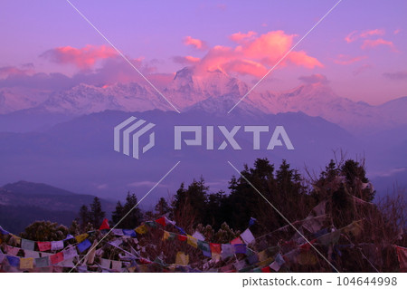Nepal in South Asia View of the Dhaulagiri Mountains and Thalcho at dawn from Poon Hill, a scenic spot with a view of the Himalayas Nepal in South Asia View of the Dhaulagiri Mountains and Thalcho at dawn from Poon Hill, a scenic spot with a view of the Himalayas 104644998