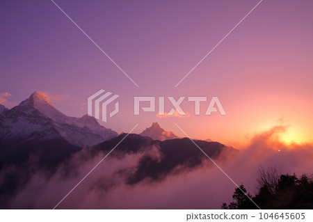 南亞的尼泊爾 從潘山 (Poon Hill) 欣賞黎明時分的安納布爾納山脈 (Annapurna Mountains) 和馬查普恰爾 (Machapuchare)，這是一個可以欣賞喜馬拉雅山美景的風景區 104645605
