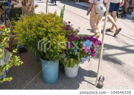 230704 Miyagawa morning market z001 230704 Miyagawa morning market z001 104646339