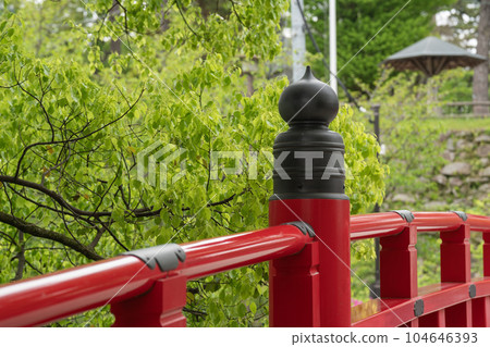 從神橋欄杆上眺望岡崎城初春的綠意 從神橋欄杆上眺望岡崎城初春的綠意 104646393