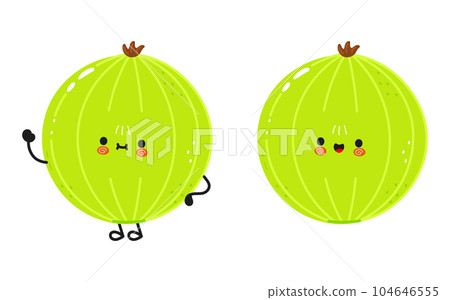 Cute funny Gooseberry character. Vector hand drawn cartoon kawaii character illustration icon. Isolated on white background. Gooseberry character concept 104646555