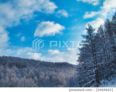 Winter landscape Winter landscape 104646831