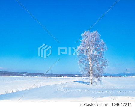 Winter landscape 104647214