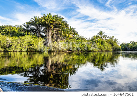 Canoe tour on the Pantanal Marimbus in Andarai, Bahia, Brazil, Chapada Diamantina 104647501