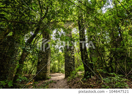 View of the ruins of the old Lazaretto aqueduct at Ilha Grande, Angra dos Reis, Rio de Janeiro, Brazil View of the ruins of the old Lazaretto aqueduct at Ilha Grande, Angra dos Reis, Rio de Janeiro, Brazil 104647521