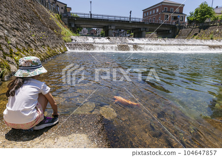 230704 Miyagawa Koji Bridge Carp s245 104647857