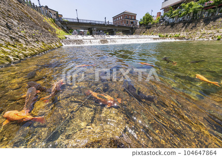 230704 Miyagawa Koji Bridge Carp s170 230704 Miyagawa Koji Bridge Carp s170 104647864