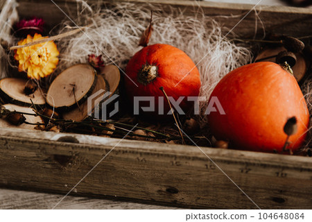 Cool trendy hipster boy 2 years old wears black posing at the decorated photozone of autumn decor with beautiful bright autumn leaves, pumpkin, apples. 104648084