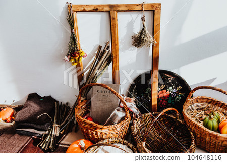 Cozy modern home with decor inspired by autumn 104648116