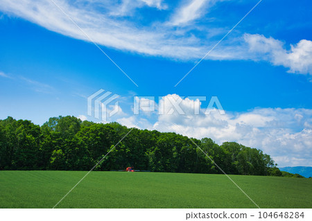 Flower landscape Flower landscape 104648284