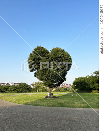 Heart type tree Heart type tree 104648673